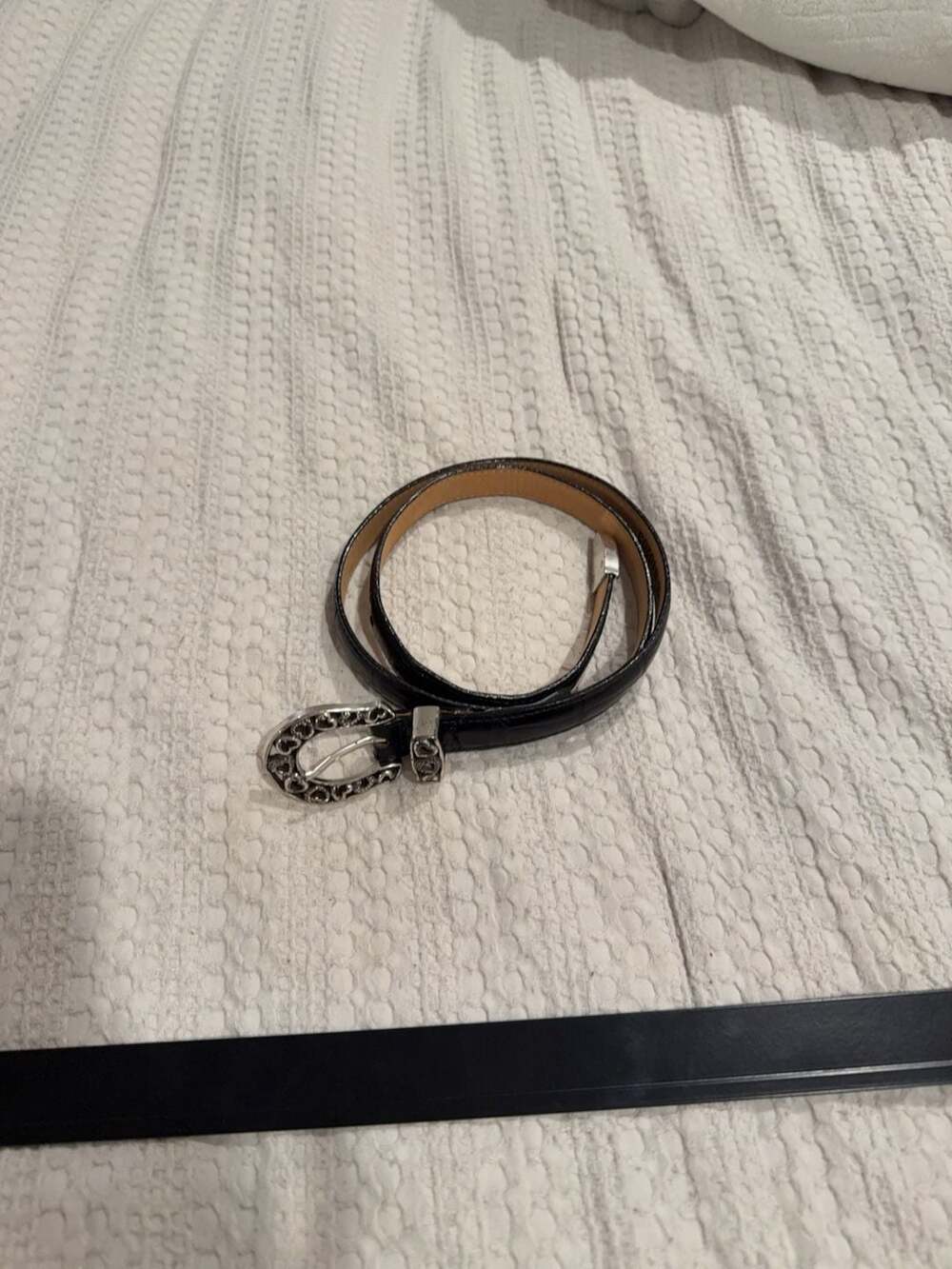Brighton Black Croc Embossed Leather Belt Size 34 B10203